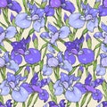 Purple and blue irises, seamless